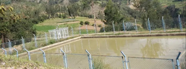 Reservorio Pampa (PampaYork)