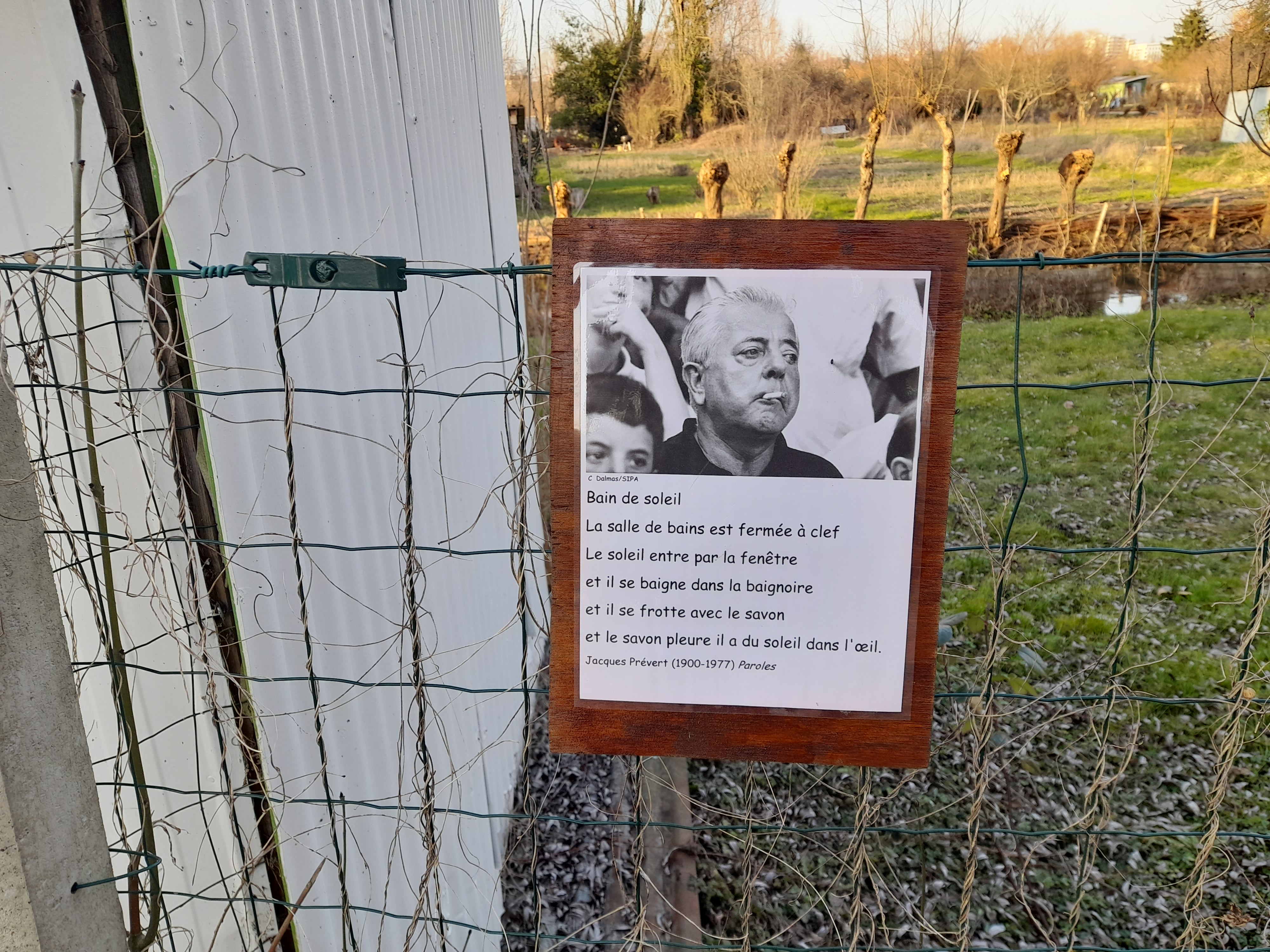 Photo n° 16 de l'avis de gilles.a fait le 11/02/2023 à 23:07