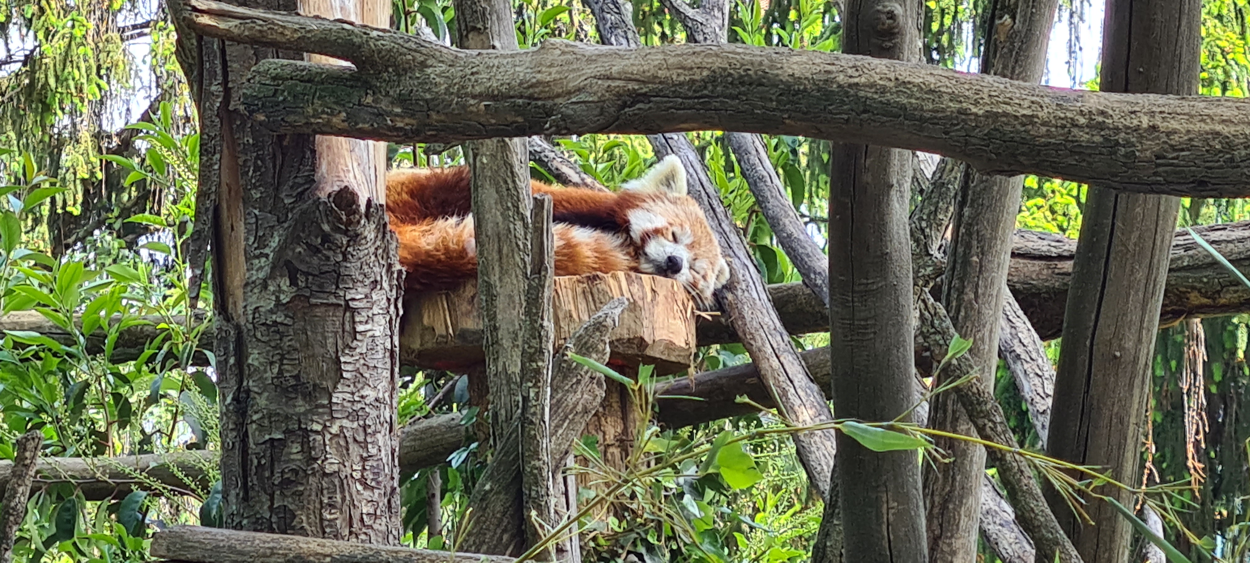 Photo n° 3 de l'avis de Phany.u fait le 12/05/2023 à 19:35