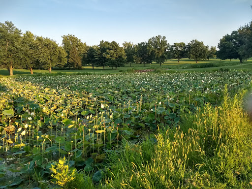 Golf Course «Lake of the Woods Golf Course», reviews and photos, 405 N Lake of the Woods Rd, Mahomet, IL 61853, USA