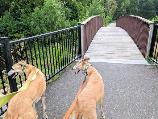 Park «Hansen Park», reviews and photos, 1555 5th St NW, New Brighton, MN 55112, USA