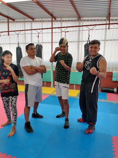 Gym de combate- Box , muay thai y Artes marciales mixtas