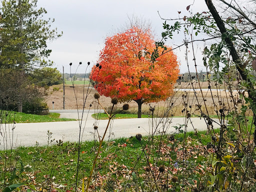 Nature Preserve «Volo Bog», reviews and photos, 28478 W Brandenburg Rd, Ingleside, IL 60041, USA