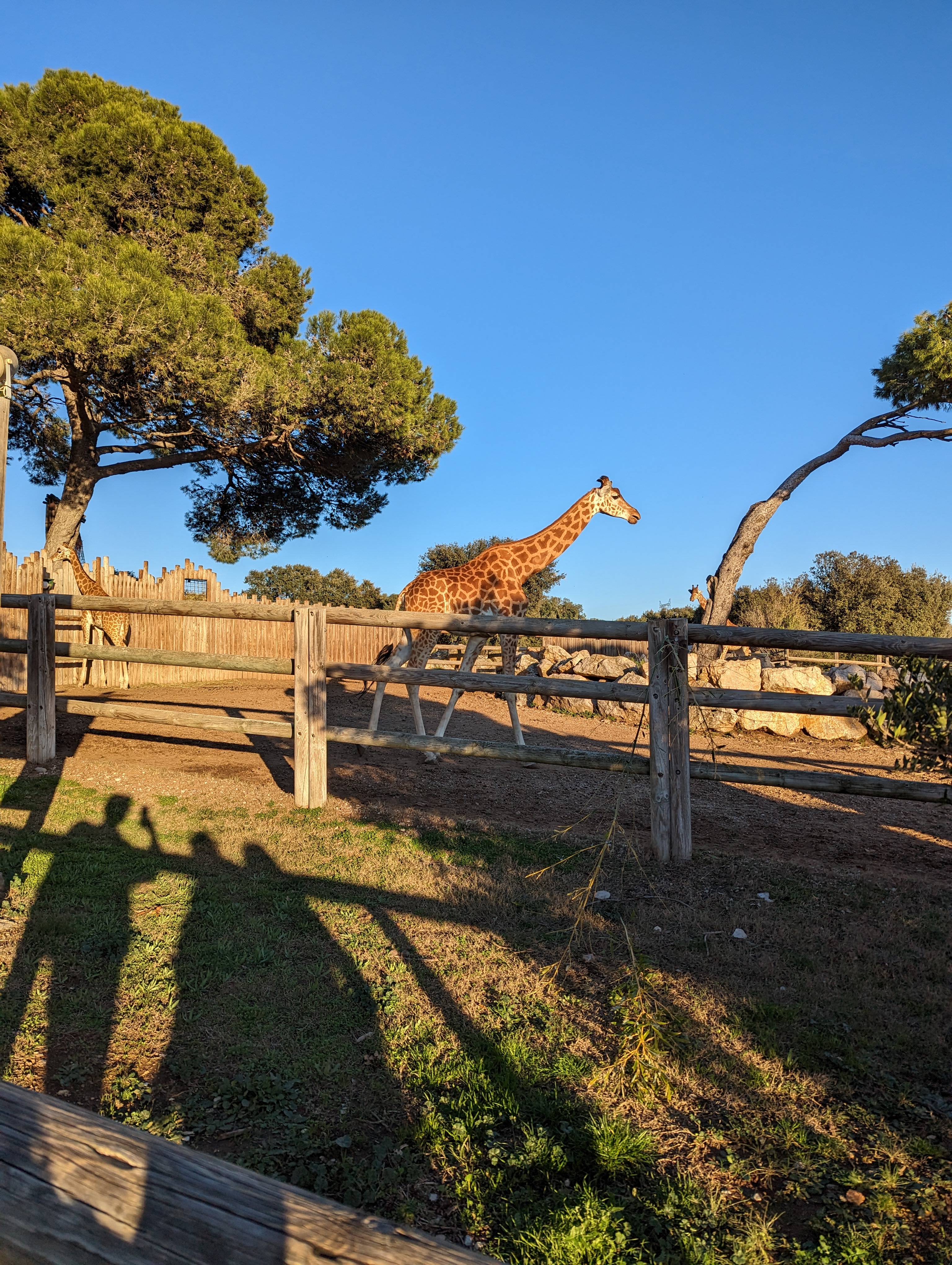 Photo n° 3 de l'avis de nidhin.h fait le 27/12/2022 à 18:11