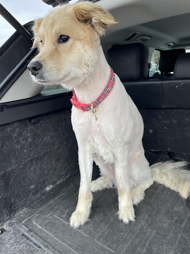 Pet Supply Store «PetSmart», reviews and photos, 4300 E Alameda Ave, Glendale, CO 80246, USA