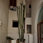 Photo n°15 de l'avis de Michel.a fait le 21/08/2023 à 14:29 sur le  Relais Corte Palmieri à Gallipoli