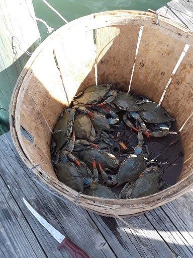 General Store «Cherrystone Resort Store», reviews and photos, 1357 Townfield Dr, Cape Charles, VA 23310, USA