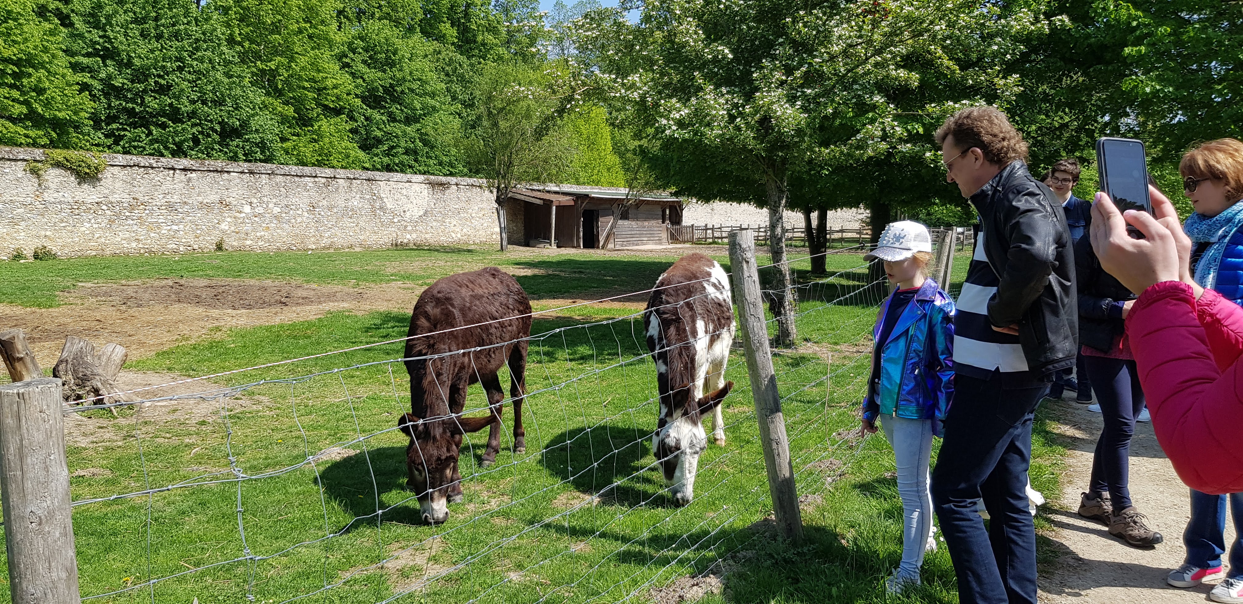Photo n° 4 de l'avis de Anna.p fait le 01/05/2019 à 20:25
