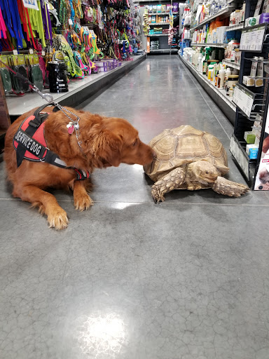 Pet Groomer «We Lov Pets», reviews and photos, 3853 Northpointe Dr, Zanesville, OH 43701, USA