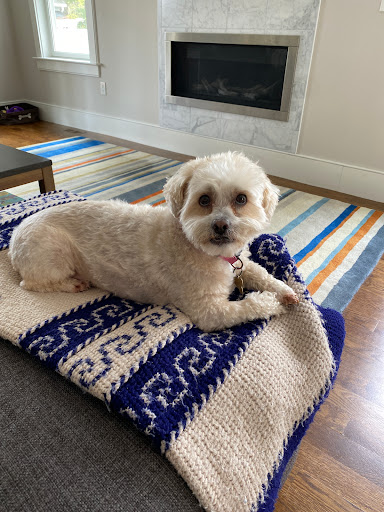 Pet Supply Store «Petco Animal Supplies», reviews and photos, 550 Providence Hwy, Dedham, MA 02026, USA