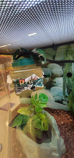 Pet Supply Store «Petco Animal Supplies», reviews and photos, 330 Orchard Park Rd, West Seneca, NY 14224, USA