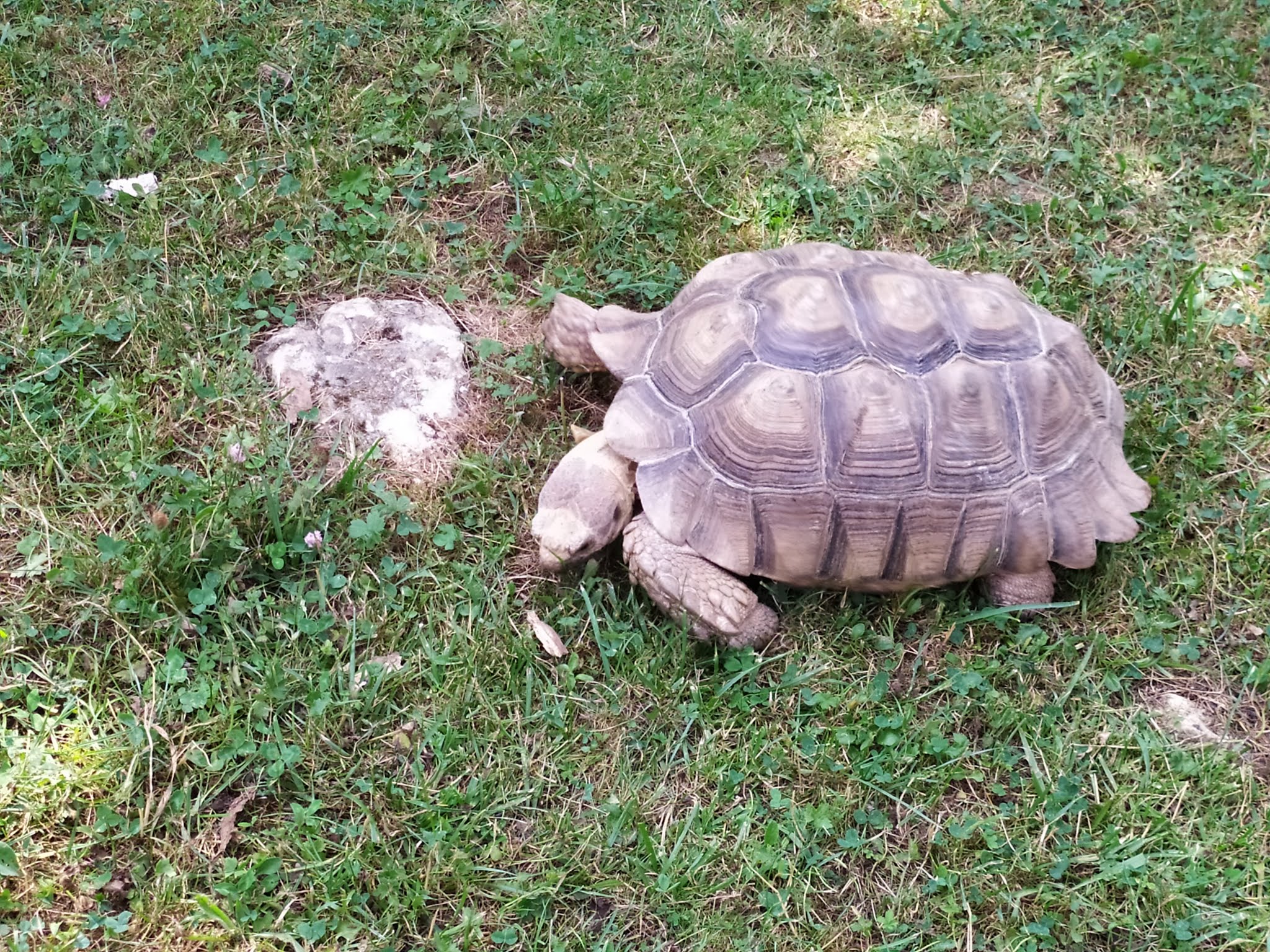 Photo n° 4 de l'avis de Ronde.t fait le 30/12/2019 à 17:38