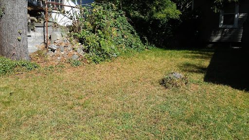 12 Sacandaga Rd #1, Scotia, NY 12302, USA