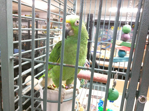 Pet Store «Pet Zone», reviews and photos, 8925 Jewella Ave #4, Shreveport, LA 71118, USA