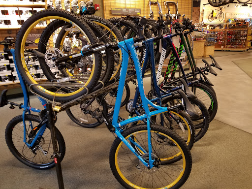 Camping Store «REI», reviews and photos, 2220 Village Walk Dr #150, Henderson, NV 89052, USA