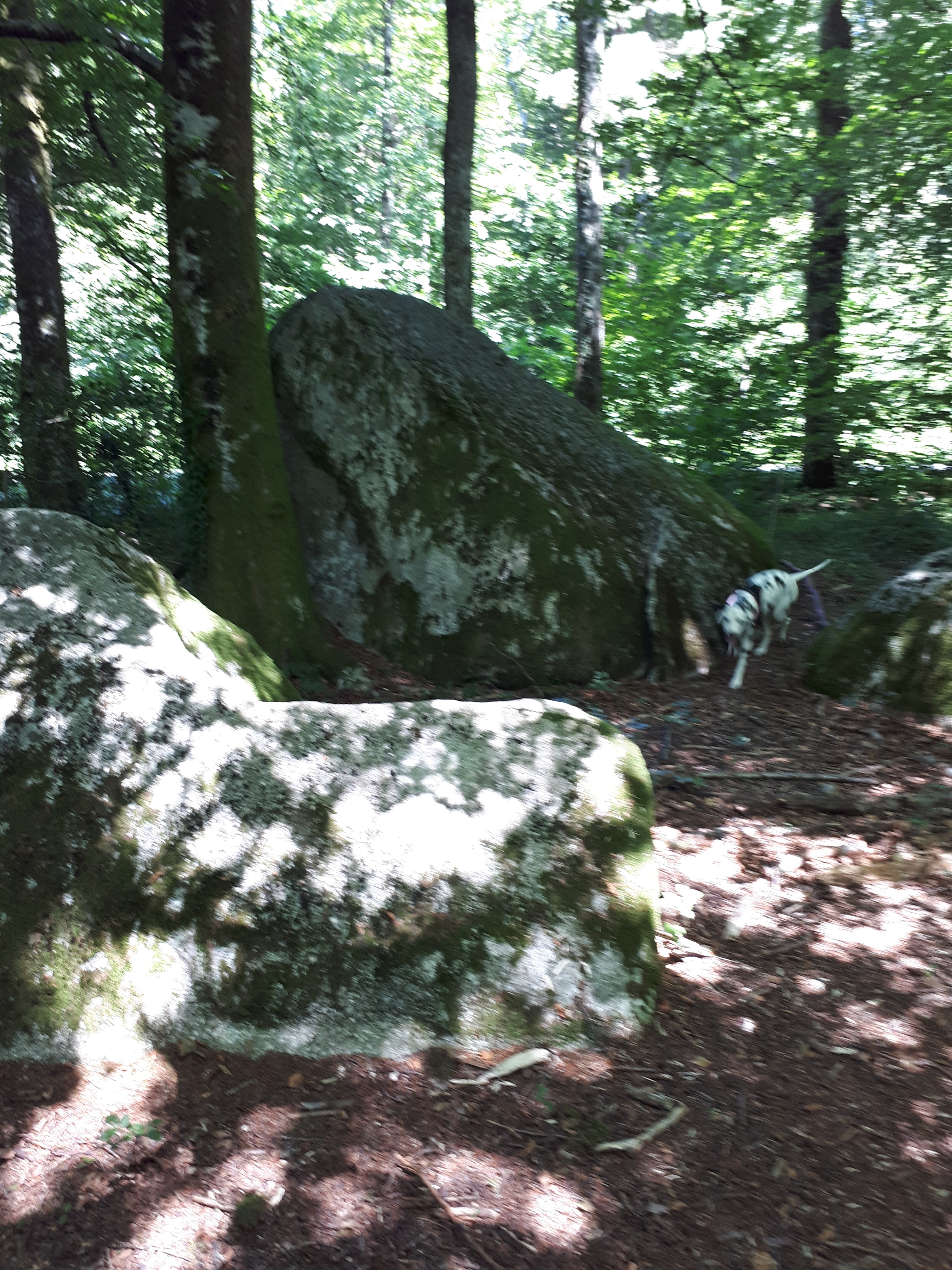 Photo n° 3 de l'avis de Axel. fait le 03/09/2018 à 10:21