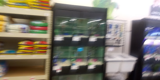 Pet Supply Store «Pet Supplies Plus», reviews and photos, 5555 Youngstown Warren Rd, Niles, OH 44446, USA
