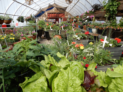 Garden center Kool Breeze Farms Garden Centre & Farm Market in Summerside (PE) | LiveWay