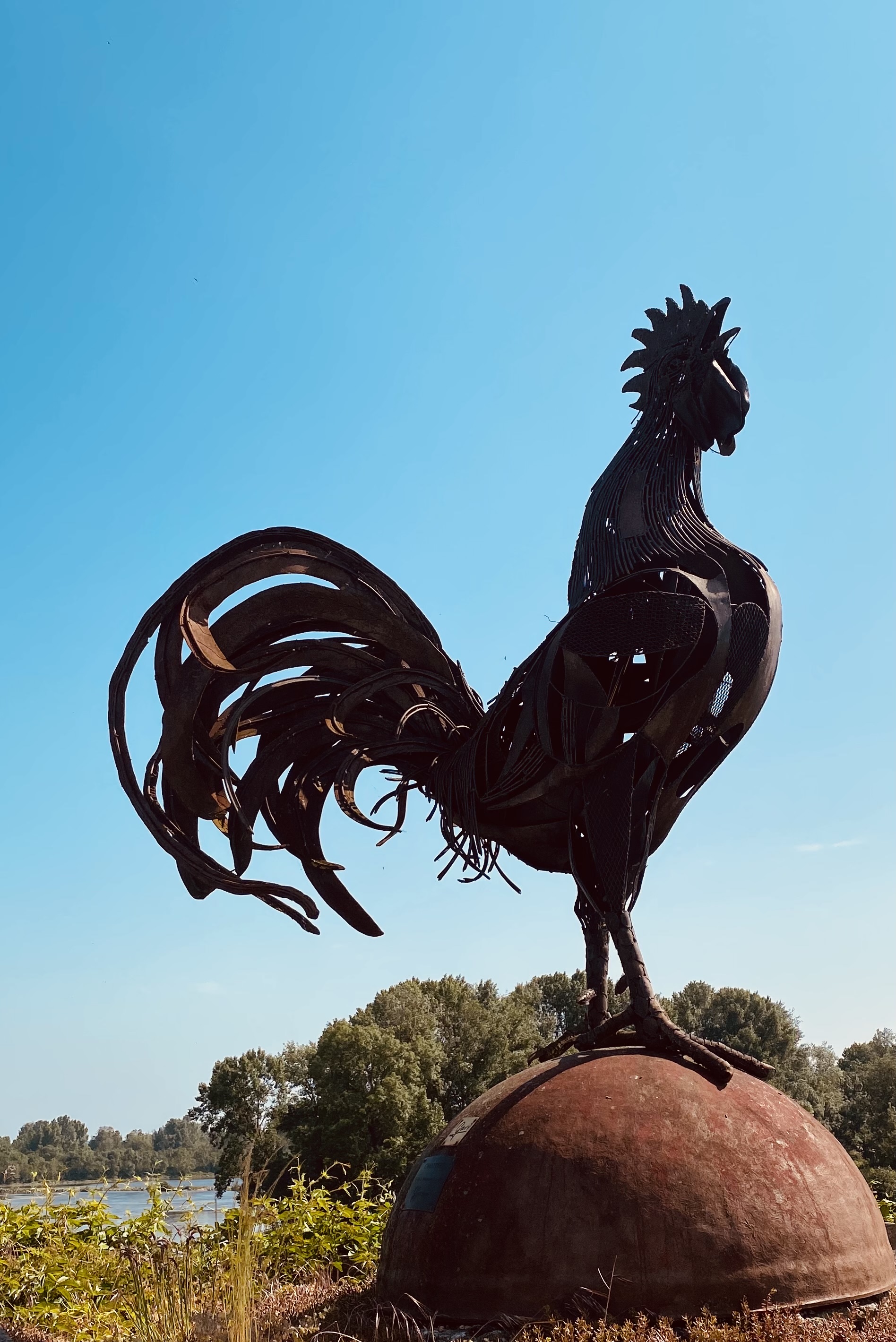 Photo n° 6 de l'avis de Cécile.a fait le 06/06/2023 à 04:54