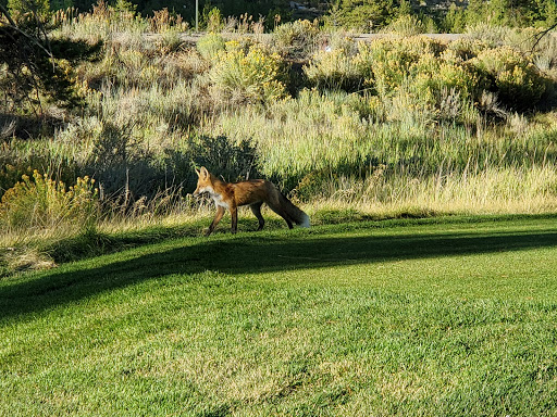 Public Golf Course «The River Course at Keystone», reviews and photos, River Course Dr, Keystone, CO 80435, USA