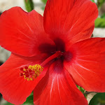 Photo n°26 de l'avis de Max.e fait le 25/08/2020 à 19:22 sur le  Relais Isole del Sud à Lampedusa