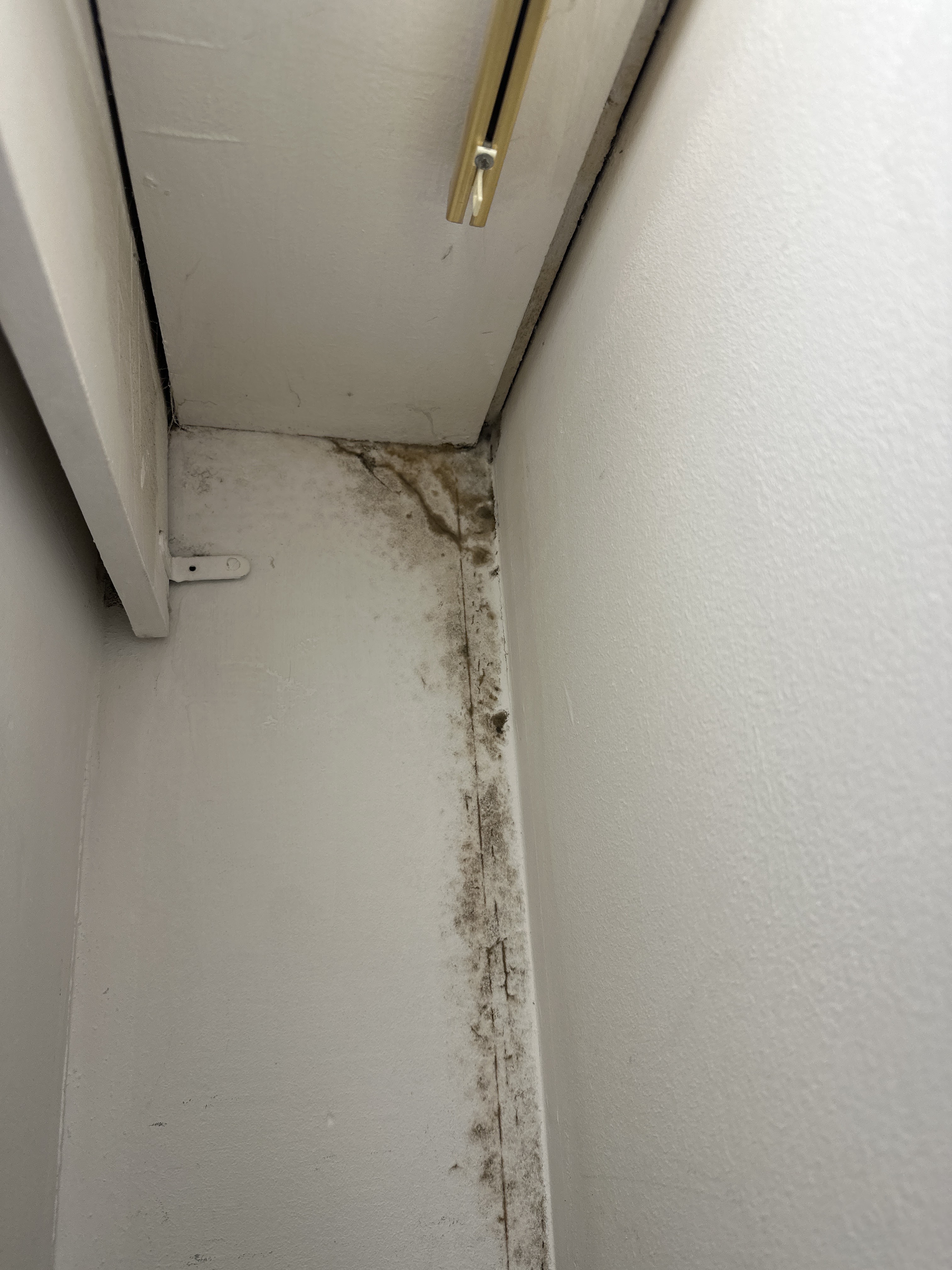 Photo n° 1 de l'avis de laurent.a fait le 22/01/2024 à 15:41