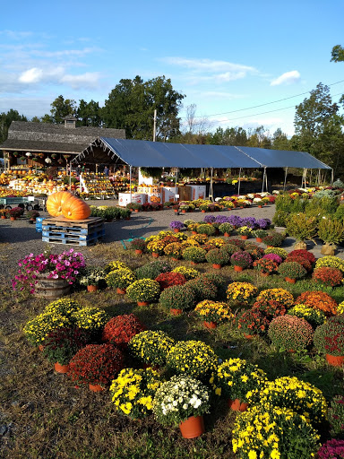 Produce Market «The Bigsby Market», reviews and photos, 1418 Dryden Rd, Freeville, NY 13068, USA