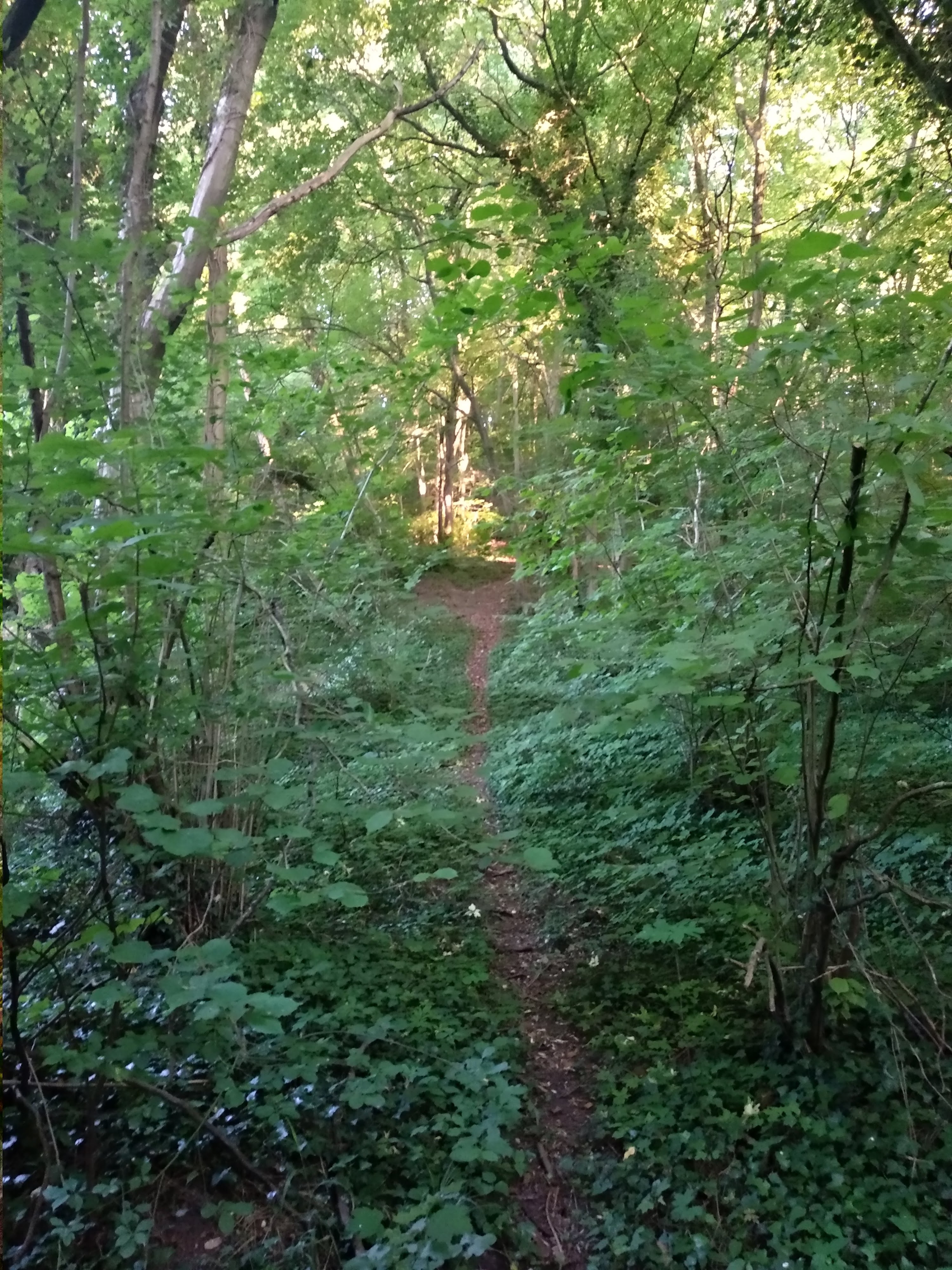 Photo n° 20 de l'avis de Taras.a fait le 17/06/2019 à 05:19