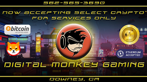 Digital Monkey Gaming image