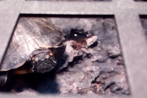 Pet Supply Store «Petco Animal Supplies», reviews and photos, 1401 E Spring Valley Rd, Richardson, TX 75081, USA