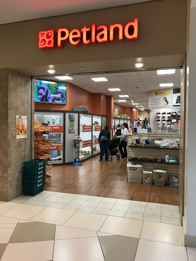 Petland Novi, 27200 Novi Rd # A, Novi, MI 48377, USA, 