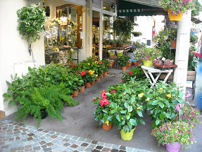 1001 Fleurs à Cavalaire-sur-Mer