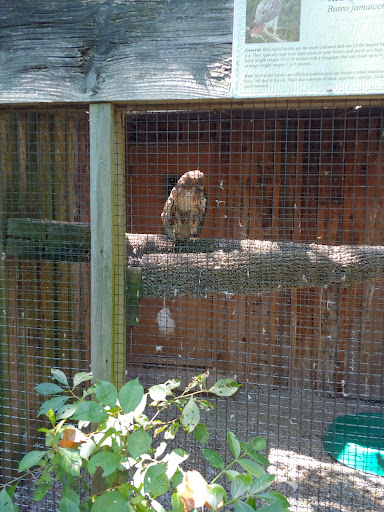 Nature Preserve «Flat Rock Brook Nature Center», reviews and photos, 443 Van Nostrand Ave, Englewood, NJ 07631, USA