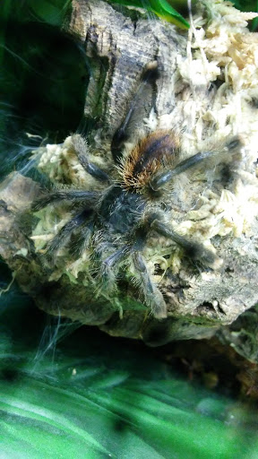 Pet Supply Store «Pet Supplies Plus», reviews and photos, 1150 N Court St #2A, Medina, OH 44256, USA