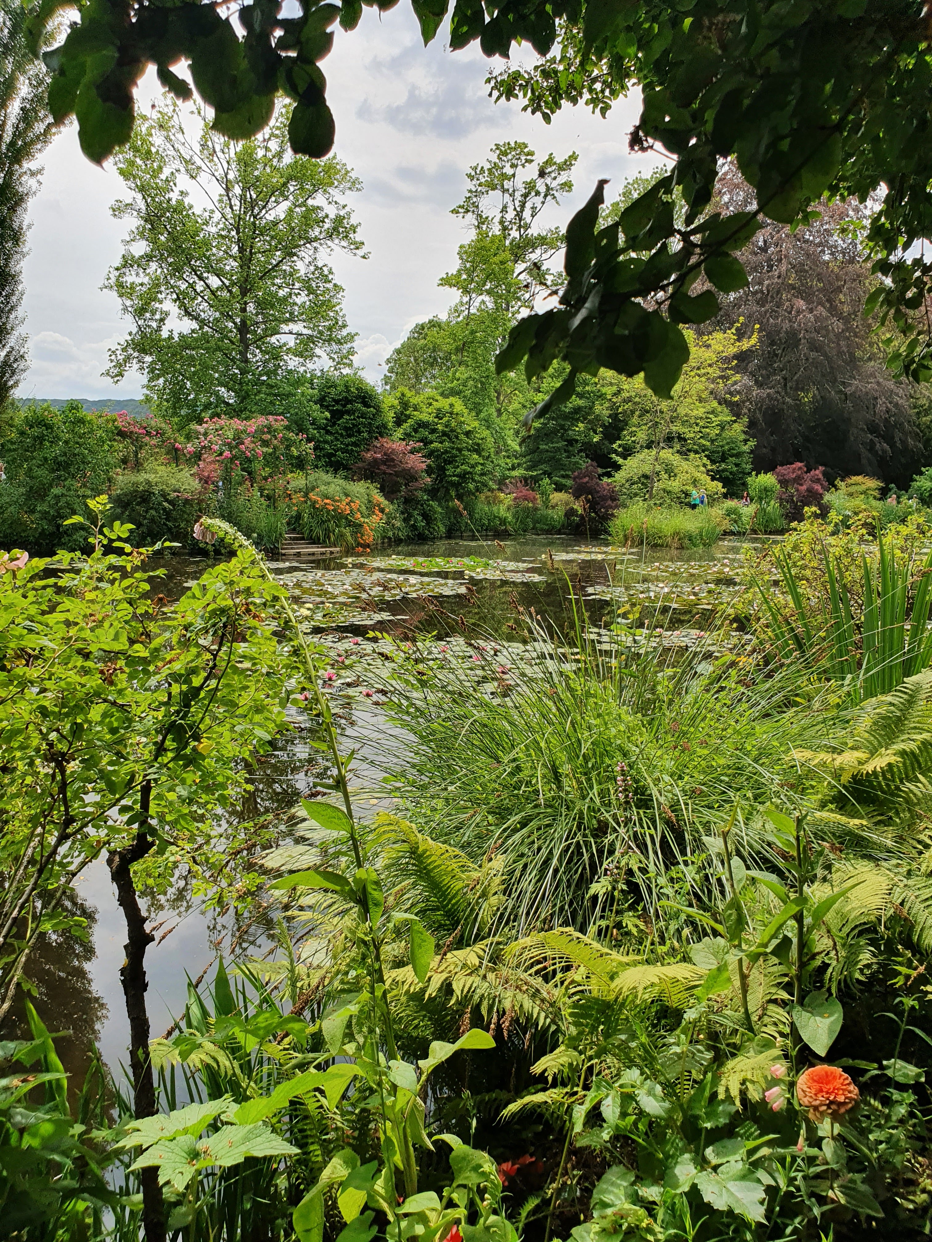 Photo n° 6 de l'avis de Nadia.o fait le 20/06/2023 à 07:55