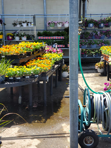 Discount Store «Walmart», reviews and photos, 285 N Plainfield Rd, West Lebanon, NH 03784, USA