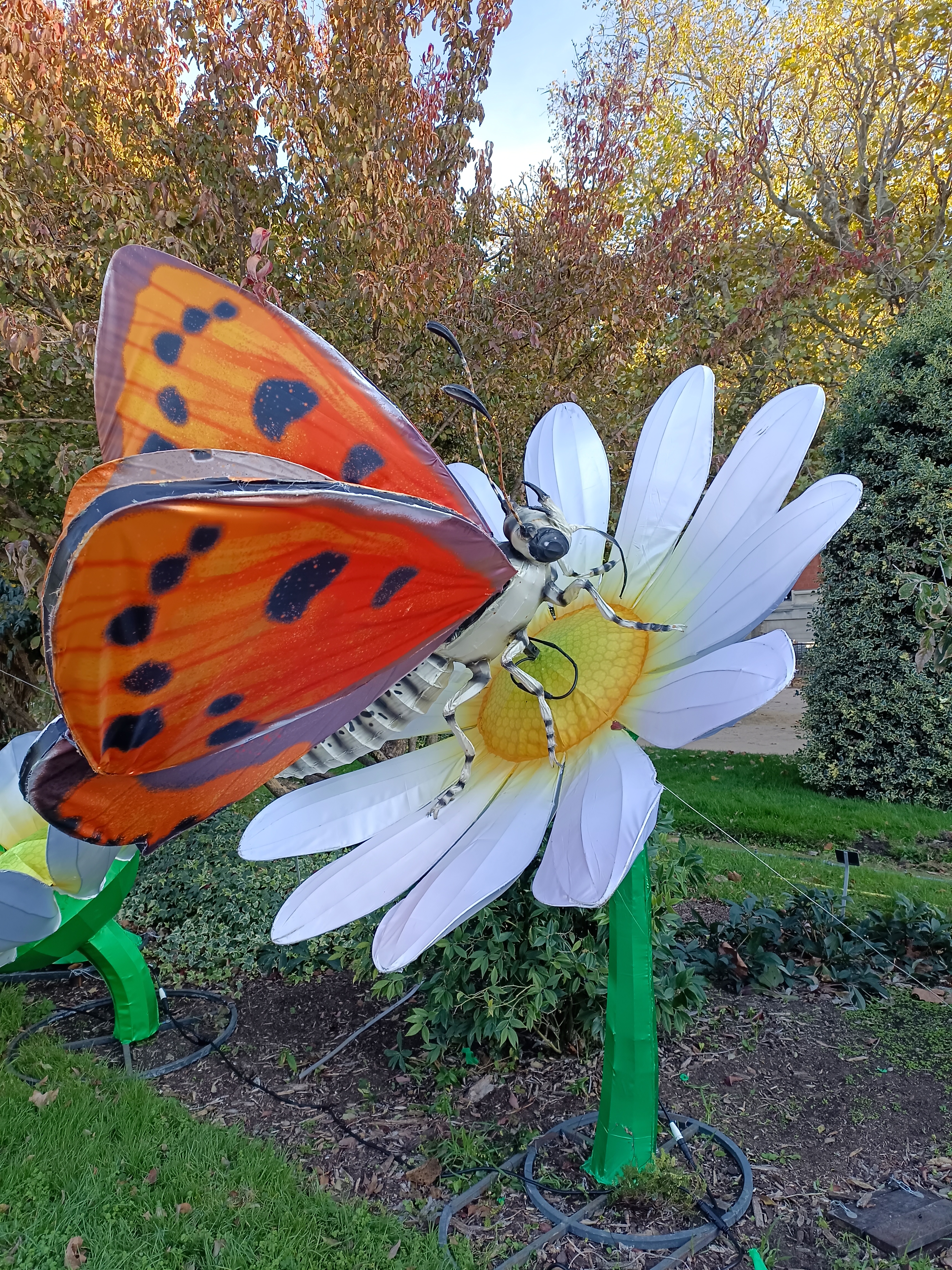 Photo n° 30 de l'avis de Oréda. fait le 12/11/2022 à 17:37