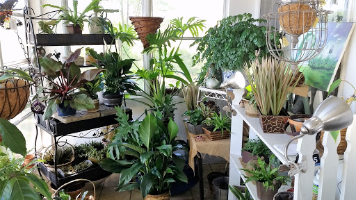 Florist «Valentin Occasions», reviews and photos, 1221 Powdersville Rd, Easley, SC 29642, USA