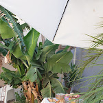 Photo n°1 de l'avis de Pietro.r fait le 02/08/2021 à 22:05 sur le  b & b U Iazzu Avola à Avola