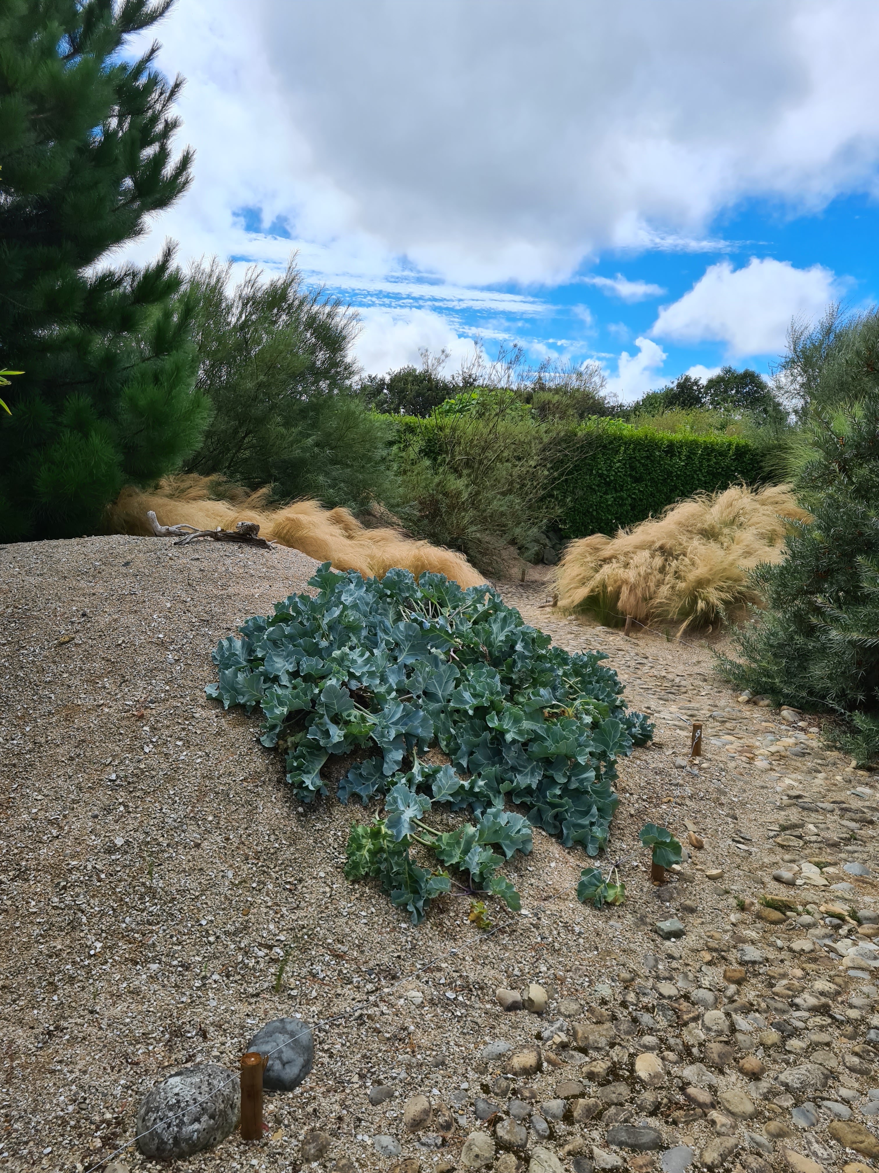 Photo n° 3 de l'avis de Marieke.o fait le 19/08/2020 à 15:52