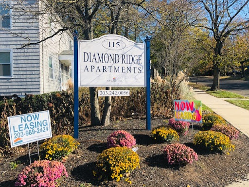 Diamond Ridge Apartments