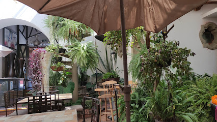 Restaurante la Martina - Diez de Sollano y Dávalos 21, Zona Centro, 37700 San Miguel de Allende, Gto., Mexico