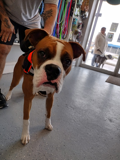 Pet Supply Store «The Dog House», reviews and photos, 4237 S Alameda St, Corpus Christi, TX 78412, USA