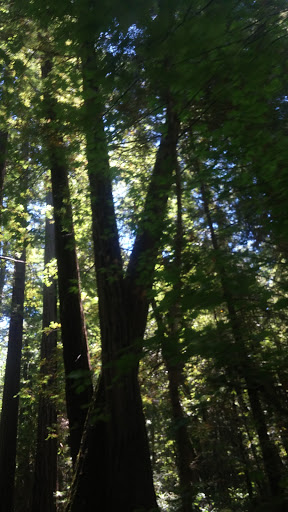 Pet Supply Store «Farmyard Feed», reviews and photos, 27705 Dutcher Creek Rd, Cloverdale, CA 95425, USA