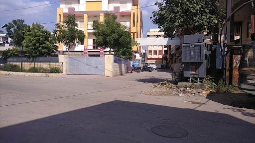 Choudhary Public School (Hindi medium)