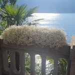 Photo n°1 de l'avis de Luisa.i fait le 24/07/2018 à 10:54 sur le  Villa Lario Resort Mandello à Mandello del Lario