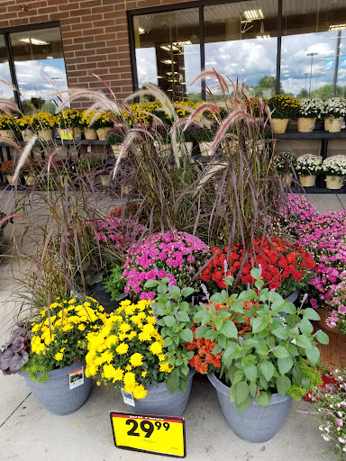 Grocery Store «Kroger Marketplace», reviews and photos, 262 W Main St, Amelia, OH 45102, USA