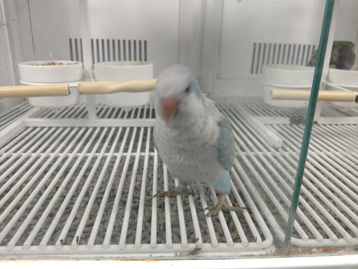 Pet Supply Store «Petco Animal Supplies», reviews and photos, 1800 E Franklin St #19, Chapel Hill, NC 27514, USA