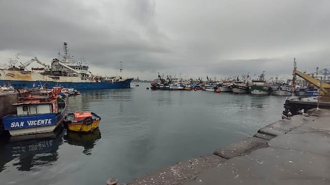 SVTI Terminal Internacional S.A. - Talcahuano