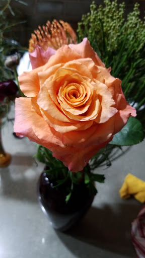 Florist «Green Cottage», reviews and photos, 1204 NY-213, High Falls, NY 12440, USA